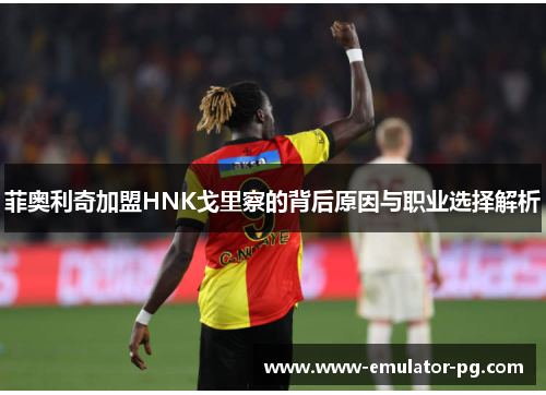 菲奥利奇加盟HNK戈里察的背后原因与职业选择解析